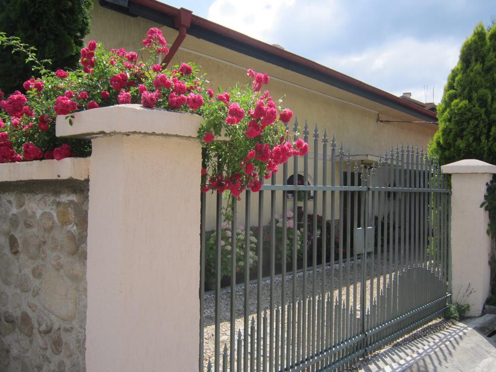 Guest House بانكيا المظهر الخارجي الصورة