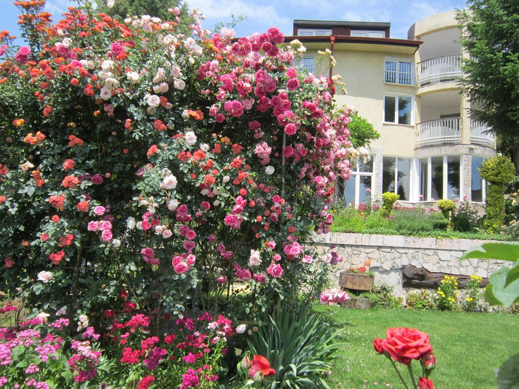 Guest House بانكيا المظهر الخارجي الصورة